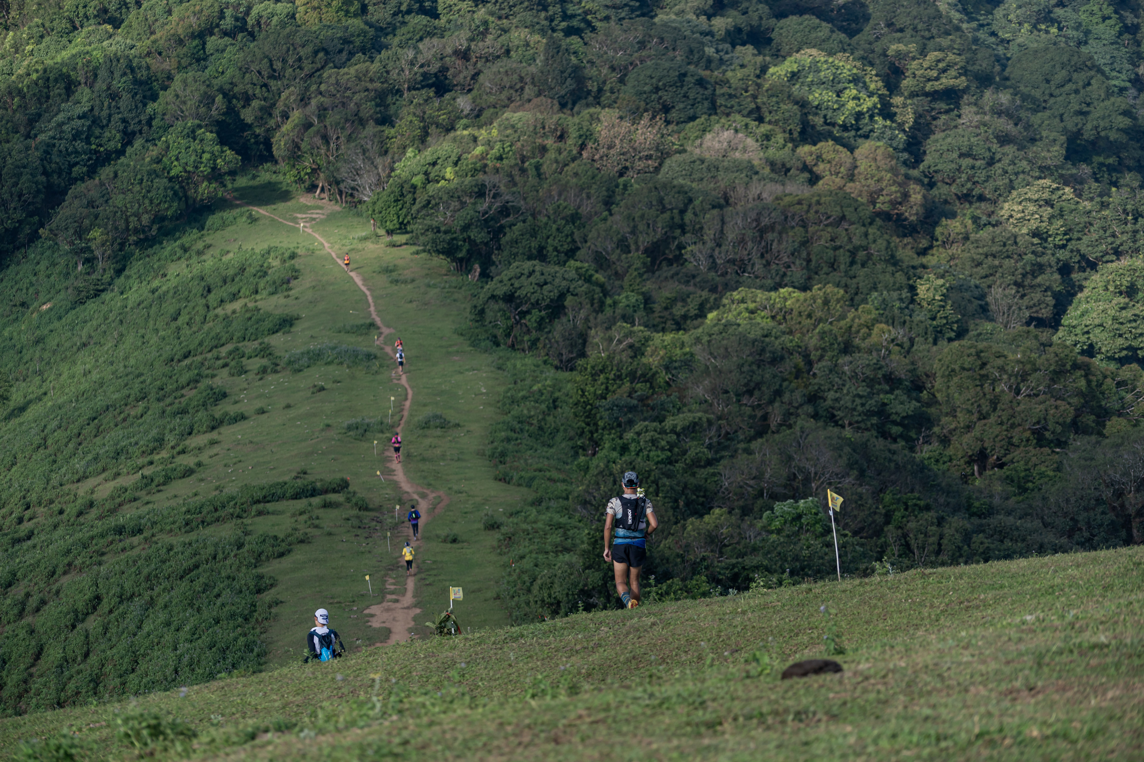Upcoming Trail 2